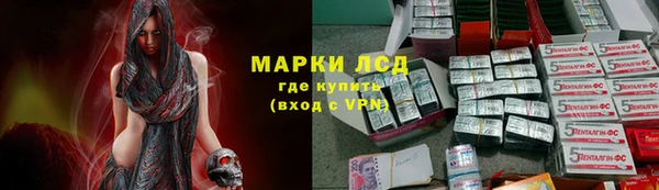 гидра Надым