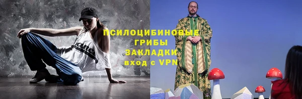 гидра Надым