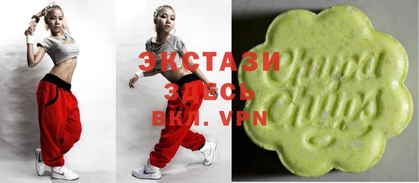 гидра Надым