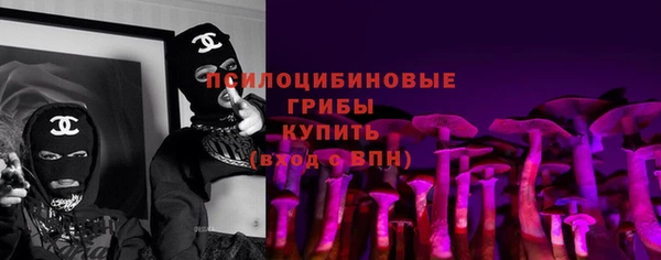 гидра Надым