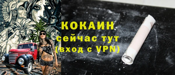 гидра Надым
