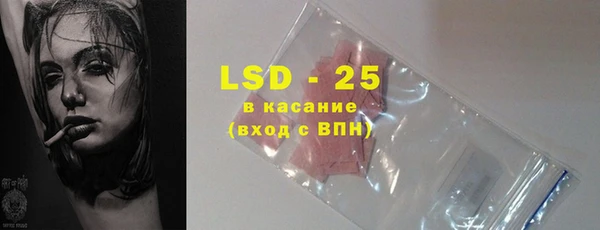 гидра Надым