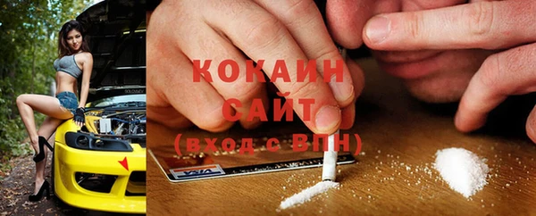гидра Надым
