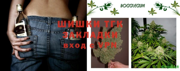 гидра Надым