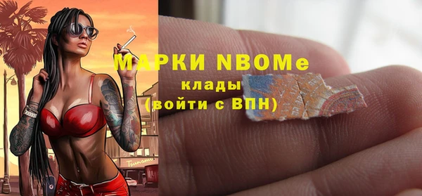 гидра Надым