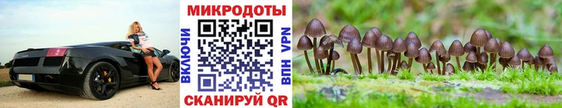 Галлюциногенные грибы мухоморы  купить наркотик  Сысерть 
